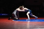 Wrestling Falcon Frenzy (BR3_5317)