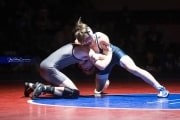 Wrestling Falcon Frenzy (BR3_5320)