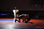 Wrestling Falcon Frenzy (BR3_5338)