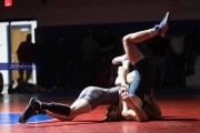 Wrestling Falcon Frenzy (BR3_5343)