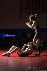 Wrestling Falcon Frenzy (BR3_5361)