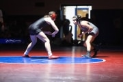 Wrestling Falcon Frenzy (BR3_5377)