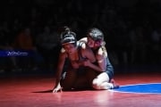 Wrestling Falcon Frenzy (BR3_5387)