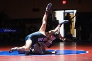 Wrestling Falcon Frenzy (BR3_5430)