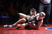 Wrestling Falcon Frenzy (BR3_5439)
