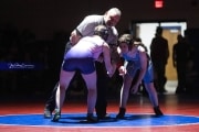 Wrestling Falcon Frenzy (BR3_5455)