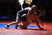 Wrestling Falcon Frenzy (BR3_5465)