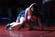 Wrestling Falcon Frenzy (BR3_5498)