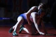 Wrestling Falcon Frenzy (BR3_5503)