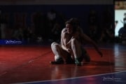 Wrestling Falcon Frenzy (BR3_5506)