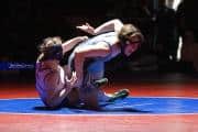 Wrestling Falcon Frenzy (BR3_5523)