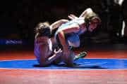 Wrestling Falcon Frenzy (BR3_5524)