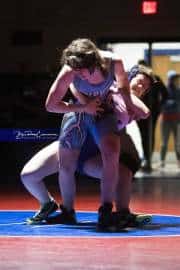 Wrestling Falcon Frenzy (BR3_5533)