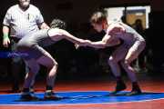 Wrestling Falcon Frenzy (BR3_5551)