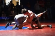 Wrestling Falcon Frenzy (BR3_5554)