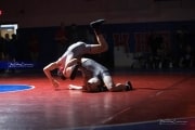 Wrestling Falcon Frenzy (BR3_5555)