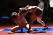 Wrestling Falcon Frenzy (BR3_5575)