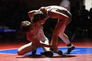 Wrestling Falcon Frenzy (BR3_5578)