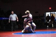 Wrestling Falcon Frenzy (BR3_5674)