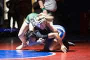 Wrestling Falcon Frenzy (BR3_5688)