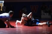 Wrestling Falcon Frenzy (BR3_5711)