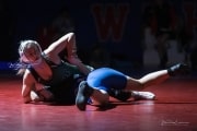 Wrestling Falcon Frenzy (BR3_5714)