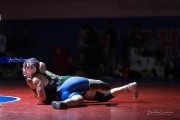 Wrestling Falcon Frenzy (BR3_5721)