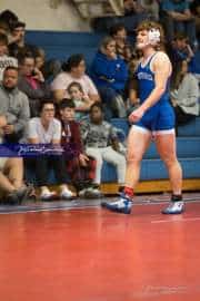 Wrestling Falcon Frenzy (BR3_5742)