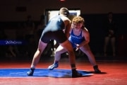 Wrestling Falcon Frenzy (BR3_5752)