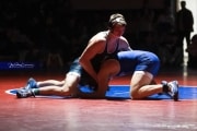 Wrestling Falcon Frenzy (BR3_5760)