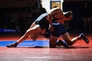 Wrestling Falcon Frenzy (BR3_5779)