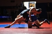 Wrestling Falcon Frenzy (BR3_5780)