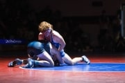Wrestling Falcon Frenzy (BR3_5839)