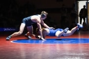 Wrestling Falcon Frenzy (BR3_5847)