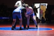 Wrestling Falcon Frenzy (BR3_5875)