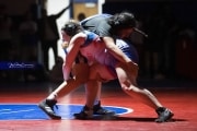 Wrestling Falcon Frenzy (BR3_5904)