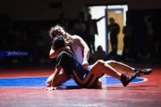 Wrestling Falcon Frenzy (BR3_5925)