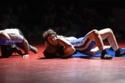 Wrestling Falcon Frenzy (BR3_5937)