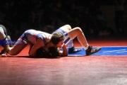 Wrestling Falcon Frenzy (BR3_5941)