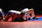 Wrestling Falcon Frenzy (BR3_5943)
