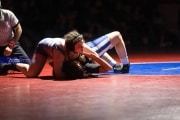 Wrestling Falcon Frenzy (BR3_5950)
