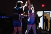 Wrestling Falcon Frenzy (BR3_5967)