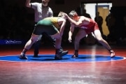 Wrestling Falcon Frenzy (BR3_5982)
