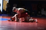 Wrestling Falcon Frenzy (BR3_6004)