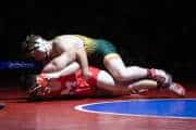 Wrestling Falcon Frenzy (BR3_6039)