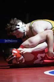 Wrestling Falcon Frenzy (BR3_6040)