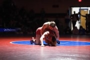Wrestling Falcon Frenzy (BR3_6077)