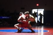 Wrestling Falcon Frenzy (BR3_6085)