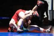 Wrestling Falcon Frenzy (BR3_6120)