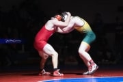 Wrestling Falcon Frenzy (BR3_6128)